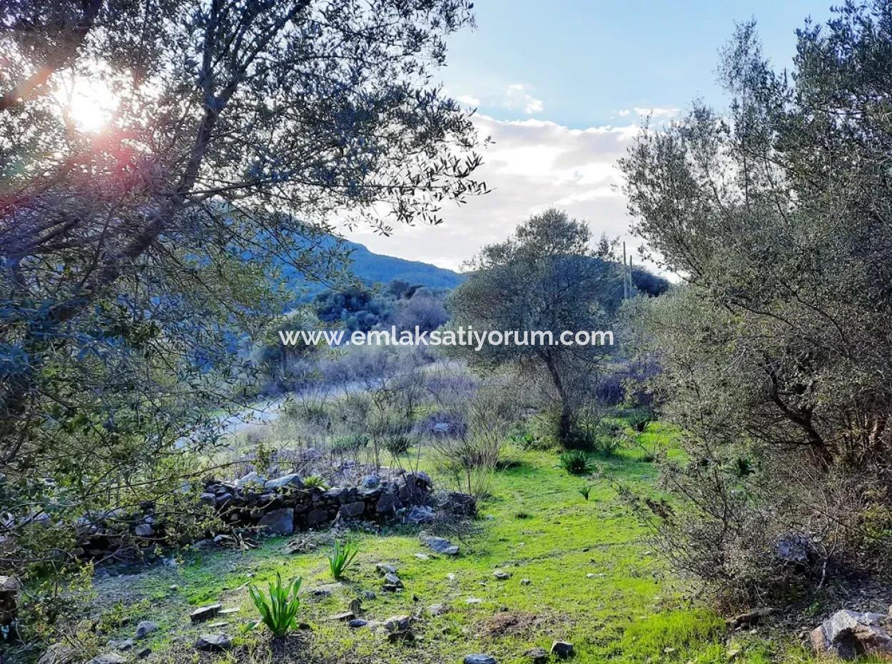 Mugla Dalyan Gokbel 1700 M2 Freistehendes Land Und Bungalow Mit Blick Auf Die Natur