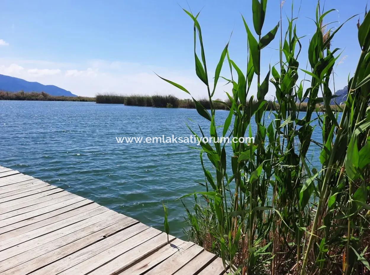 Mugla Dalyan Granatapfelgarten Geeignet Für Null Investition In Den Kanal Zu Verkaufen