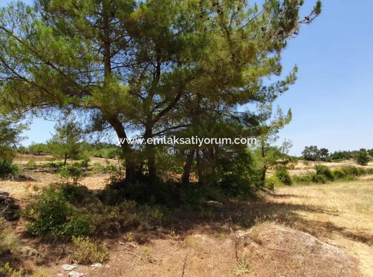 Mugla Menteşe Denizova 1869 M2 Schnäppchenfeld Zum Verkaufen