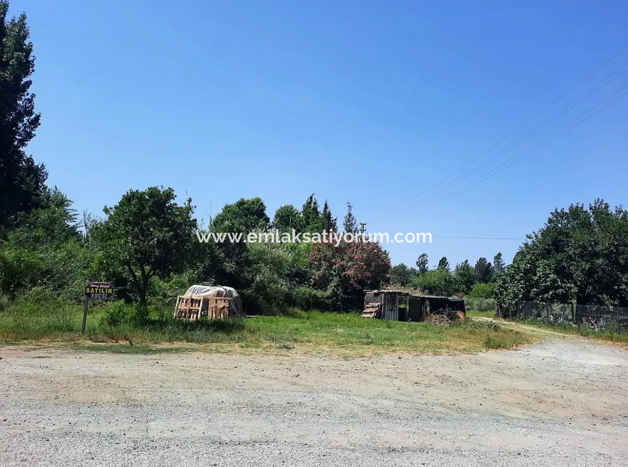 Mugla Dalyan Zoning Schnäppchen Land Zu Verkaufen