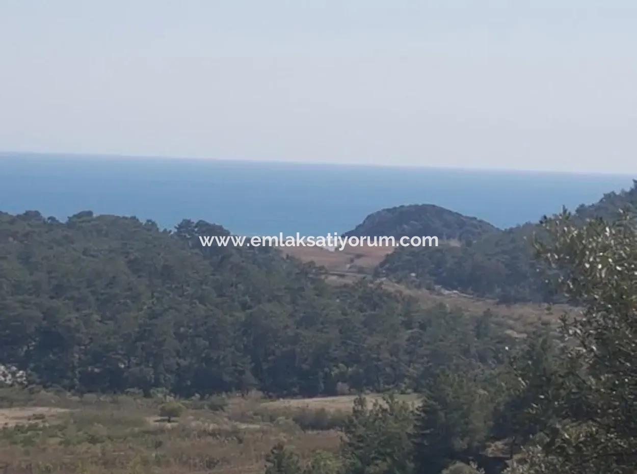 Grundstück Mit Meer Blick Zu Verkaufen Schnäppchen Ortaca Sarıgerme