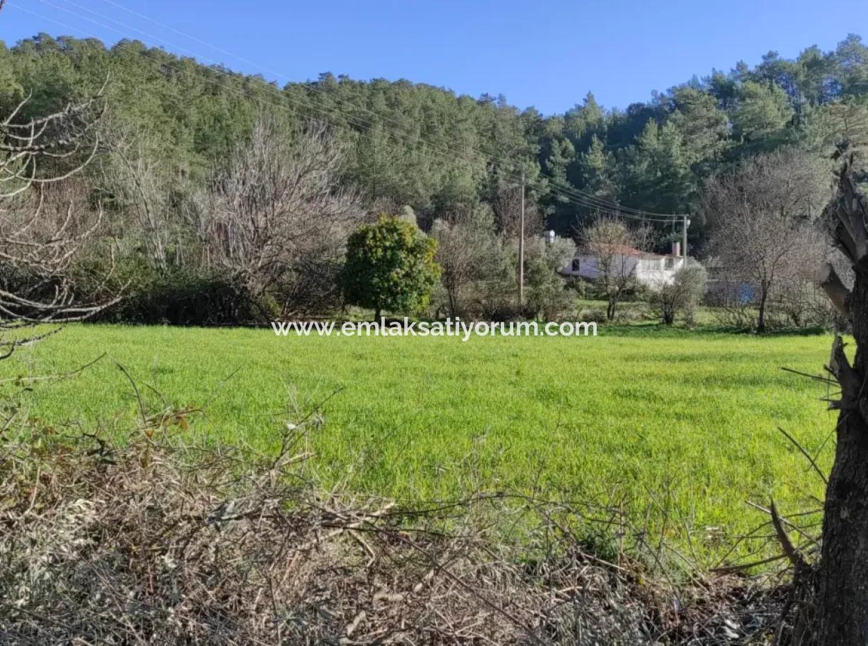 Mugla Ula Karabörtlen 2956 M2 Freistehendes Grundstück Zum Verkauf