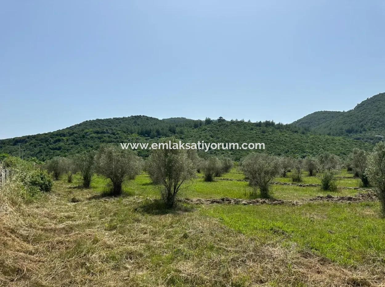 1644 M2, 250 M2 Baugenehmigung Grundstück Zum Verkauf In Ortaca Fevziye