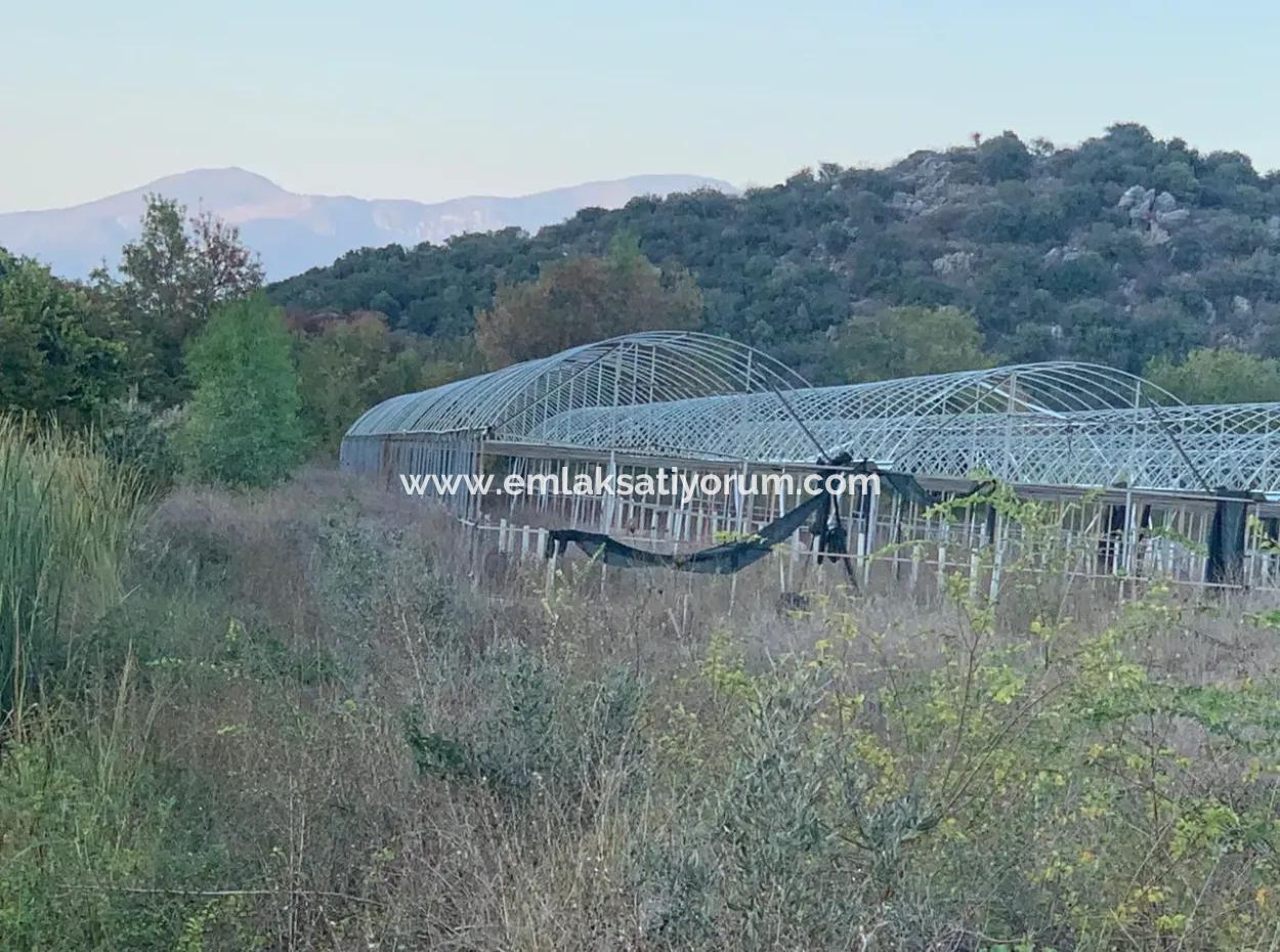 26.200 M2 Freistehendes Feld Und 3.000 M2 200 Akaoda Werkstatt In Ortaca Güzelyurt