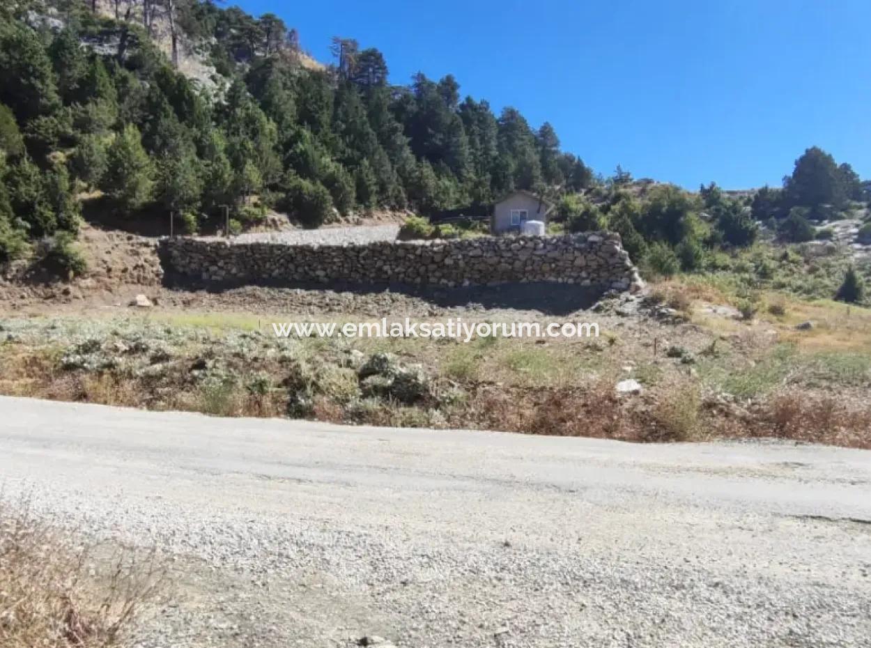 1.522M2 Feld Zum Verkauf Im Çövenli-Plateau Der Region Muğla Köyceğiz Sazak