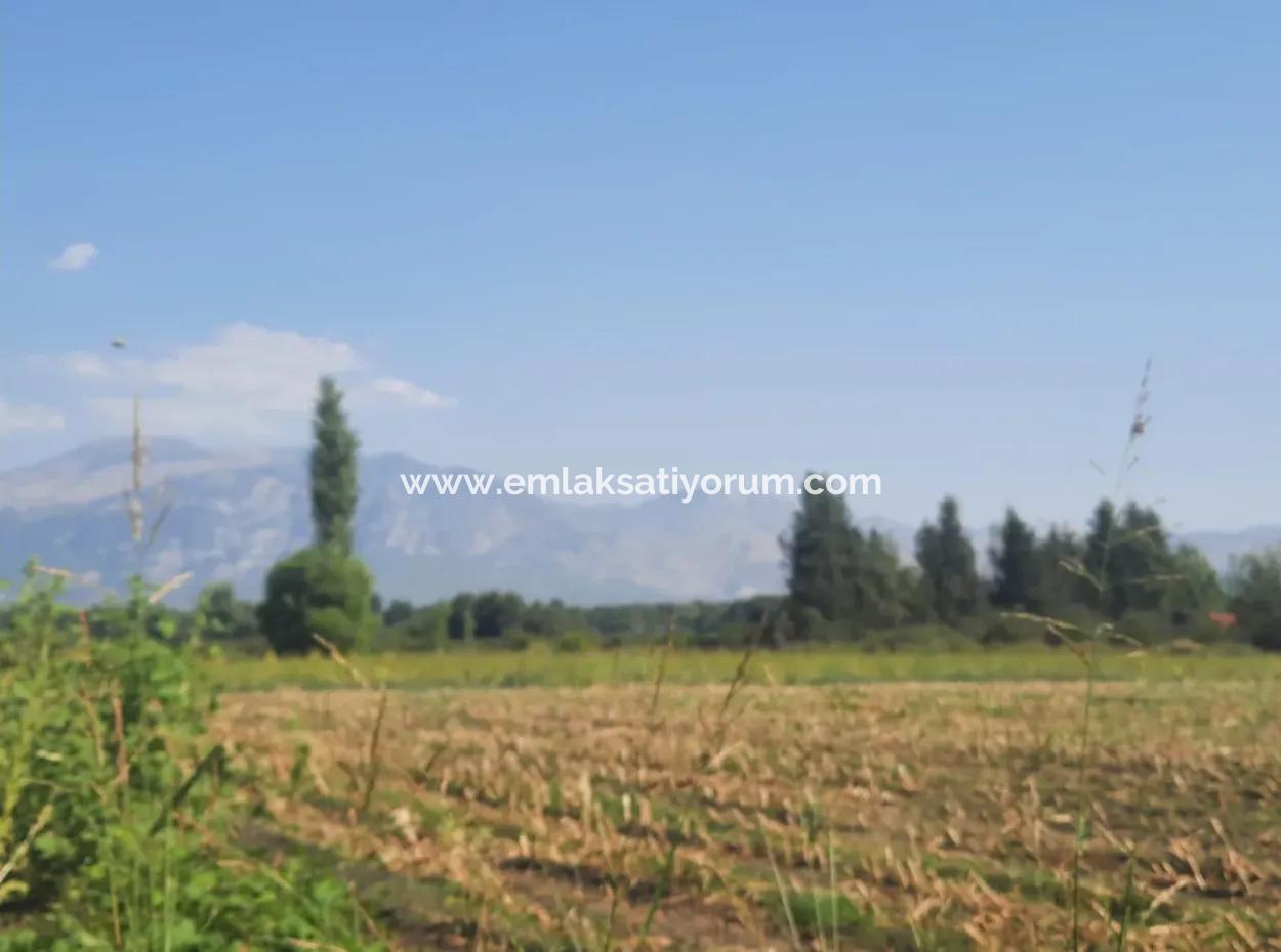 2 650 M2 Fruchtbares Land Zum Verkauf In Köyceğiz Poplar