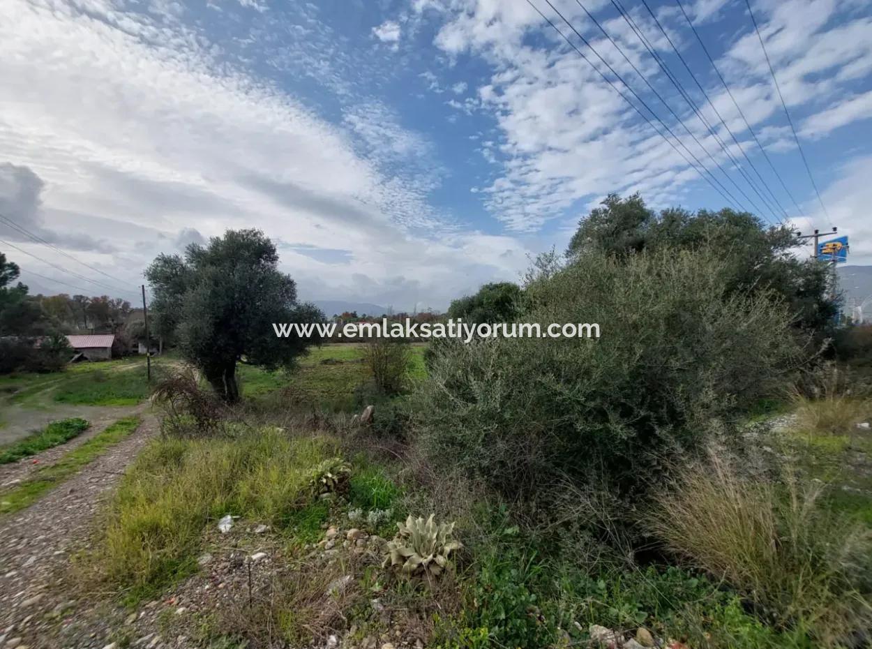 7 769 M2 Grundstück Zum Verkauf In Der Olivengegend Von Köyceğiz, Geeignet Für Investitionen Von Zero An Der Hauptstraße Mit Seeblick