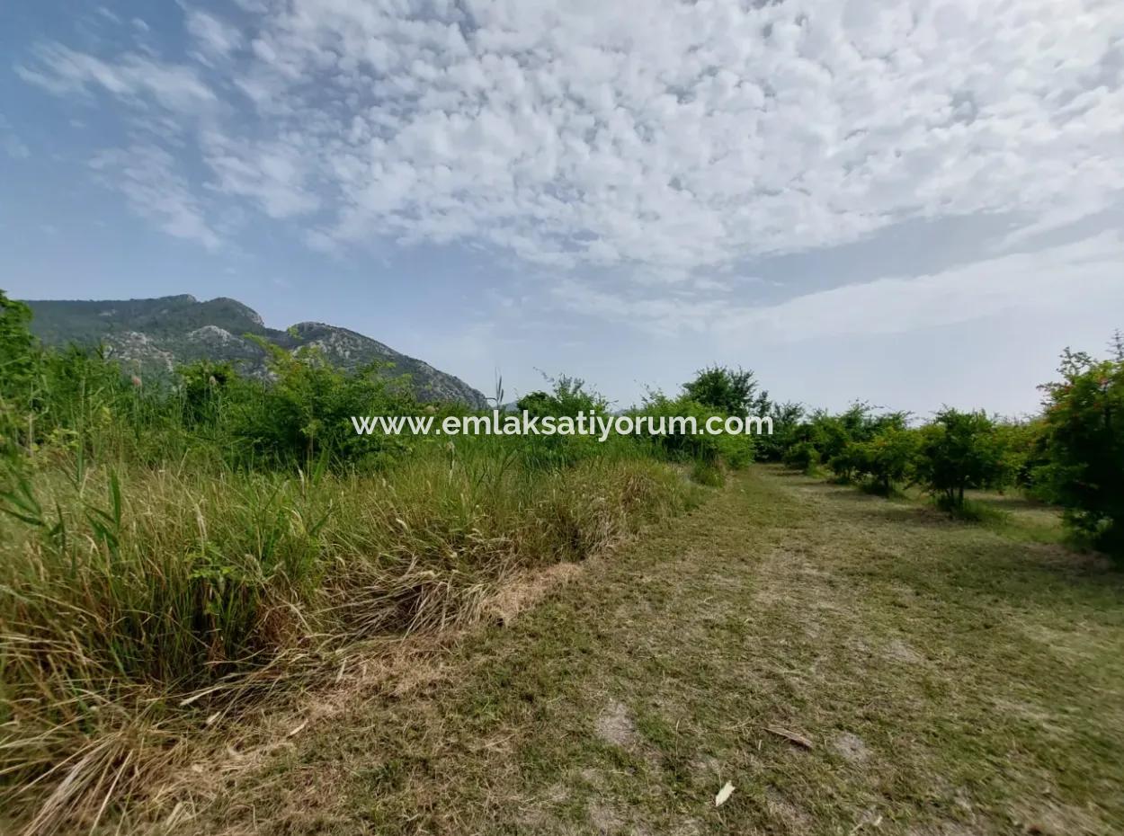 1.500 M2 Freistehendes Feld Zum Verkauf In Dalyan