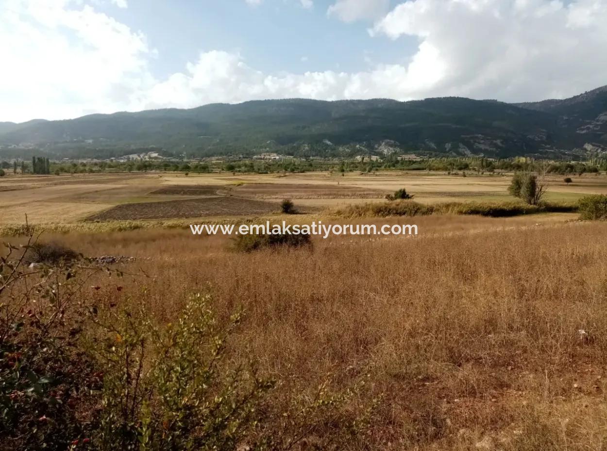 2603 M2 Feld Zum Verkauf In Denizli Çameli Belevi Nachbarschaft