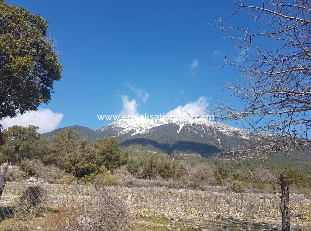 Freistehendes Haus Zum Verkauf In Fethiye Nif Land-Schnäppchen