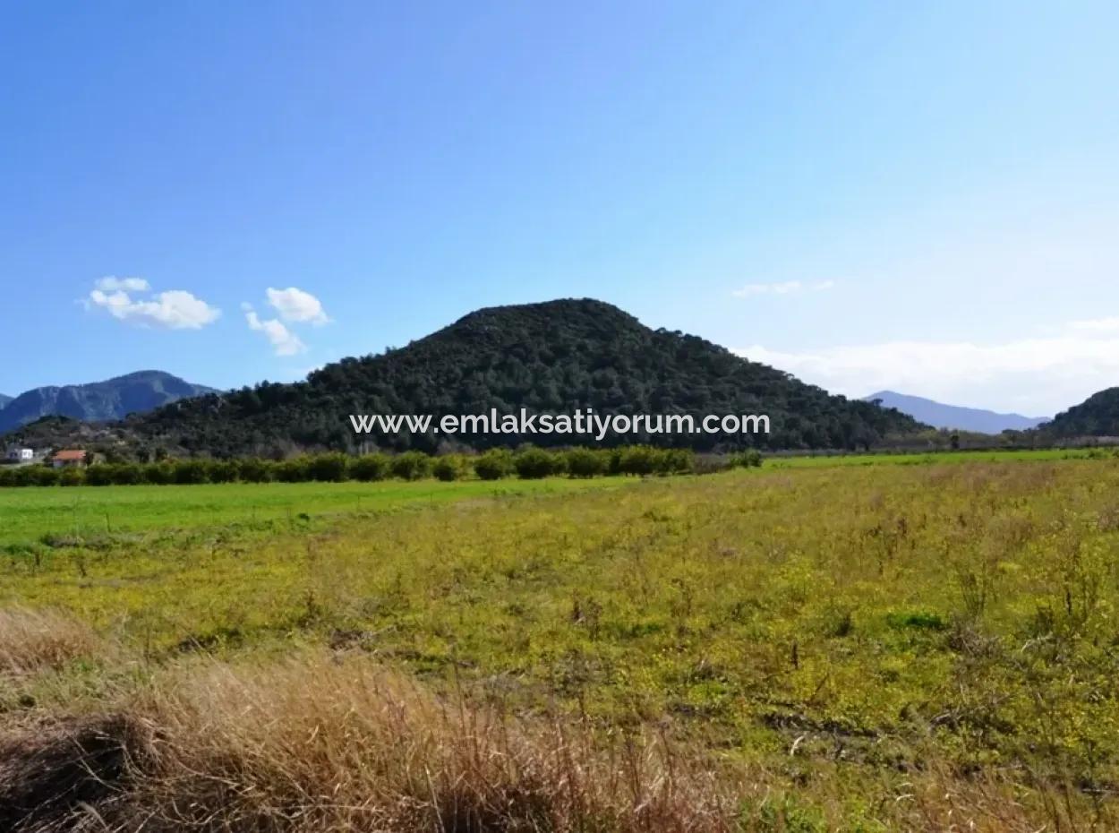 Bauernhof Zum Verkauf Schnäppchen In Dalyan