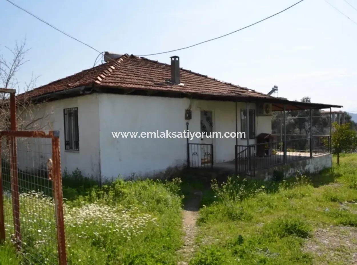 Zeytinalani Koycegiz Mit Blick Auf Den See Zum Verkauf In Village House