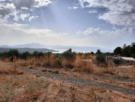 Freistehendes Land Mit Seeblick Zum Verkauf In Köycee'iz Zeytin Bereich