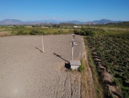 Freistehende Fruchtbare Schnäppchen Land Zum Verkauf In Ortaca Mergenli