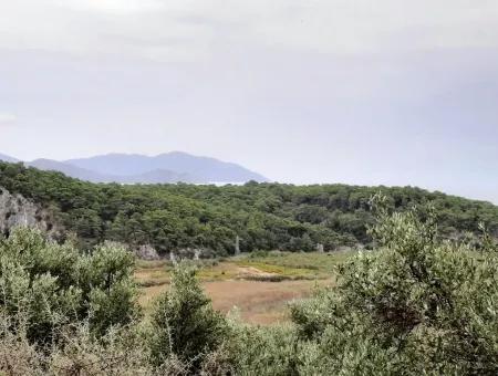 Mugla Ortaca Sar-Germe 880 M2 Voll Meer Und Natur Blick Grundstück Zu Verkaufen