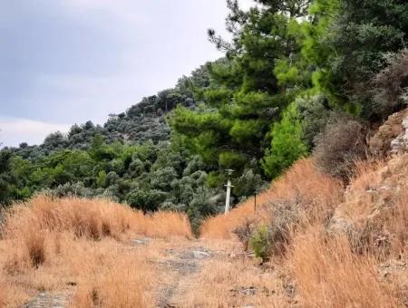 Plots Mit Meerblick Zum Verkauf In Sarigerme, Muğla