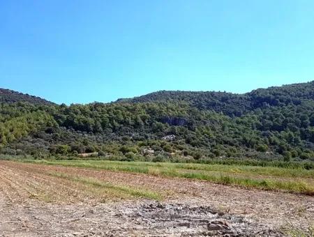 Fruchtbares Schnäppchenland Zum Verkauf In Muğla Ortaca Güzelyurt