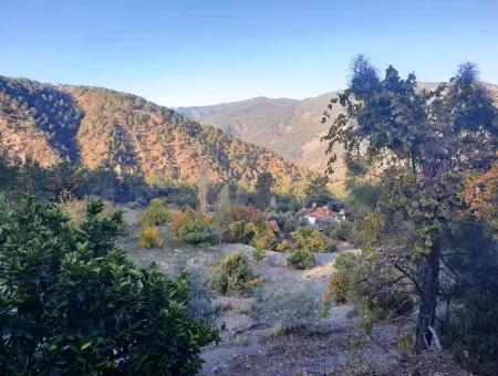 Mugla Dalaman Narli 1800 M2 Schnäppchen Land Zu Verkaufen