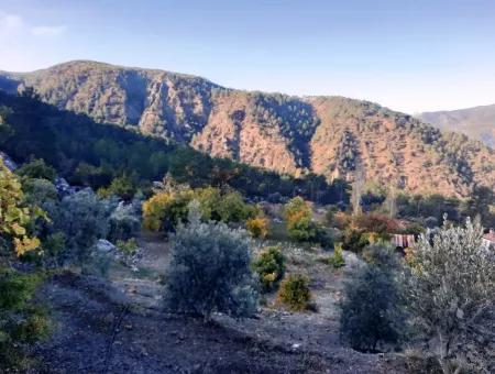 Mugla Dalaman Narli 1800 M2 Schnäppchen Land Zu Verkaufen