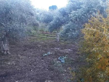 Zoning Grundstücke Mit Seeblick Zum Verkauf In Köycegiz Toparlar