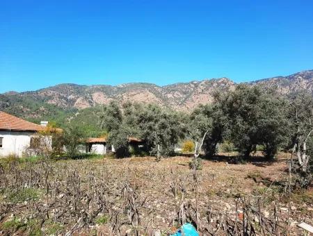 2.000 M2 Kelepir Freistehendes Zoning-Land Zum Verkauf In Köyce-Inz Topars