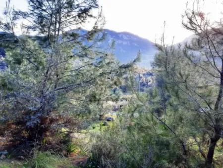 Mugla Dalyan Gokbel 1700 M2 Freistehendes Land Und Bungalow Mit Blick Auf Die Natur