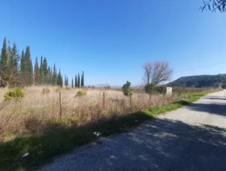 Mugla Ortaca Güzelyurt Sarégerme Straße Mit Blick Auf 2256 M2 Feld Zu Verkaufen