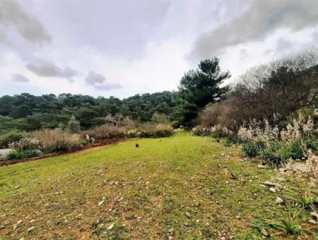 Dalyan Gökbel 13.100 M2 Acker Zum Verkauf In Der Natur