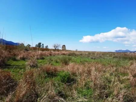 4830 M2 Land In Der Nähe Der Strandstraße Iztuzu Zum Verkauf In Mugla Dalyan