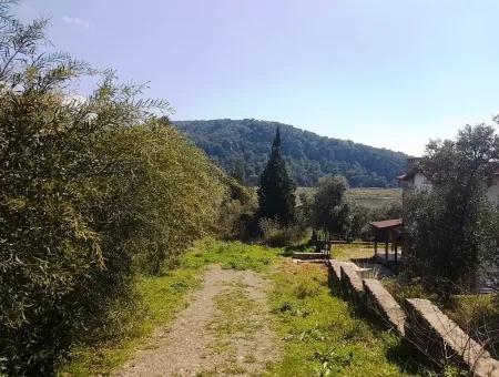 Ausgezeichnete Grundstück Zum Verkauf Schnäppchen, 2616 M2 Einfamilienhaus-Parzellen 6