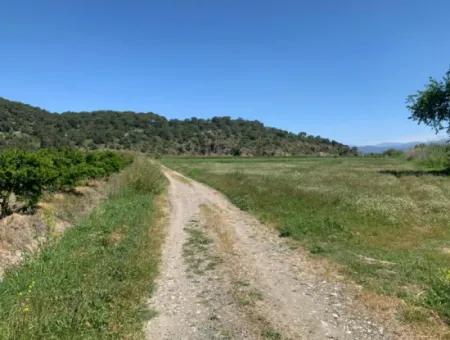 Schnäppchen Freistehendes Land Zum Verkauf In Ortaca Güzelyurt