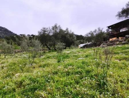 Freistehendes Dorfhaus In Der Natur Zu Verkaufen In Fethiye Gocek Ta'basi