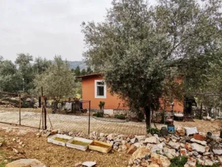 Freistehendes Dorfhaus In Der Natur Zu Verkaufen In Fethiye Gocek Ta'basi