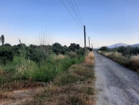 3500 M2 Orangen- Und Mandarinengarten Zum Verkauf In Köyceğiz Toparlar