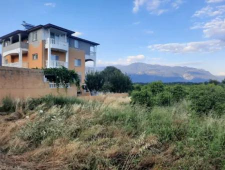 3500 M2 Orangen- Und Mandarinengarten Zum Verkauf In Köyceğiz Toparlar