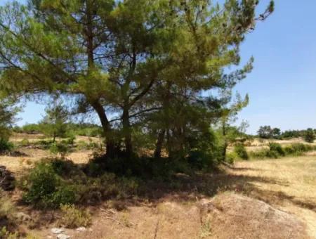 Mugla Menteşe Denizova 1869 M2 Schnäppchenfeld Zum Verkaufen