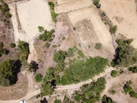 3031 M2 Freistehendes Feld Zu Verkaufen In Mugla Mentese Denizova