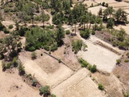 3031 M2 Freistehendes Feld Zu Verkaufen In Mugla Mentese Denizova