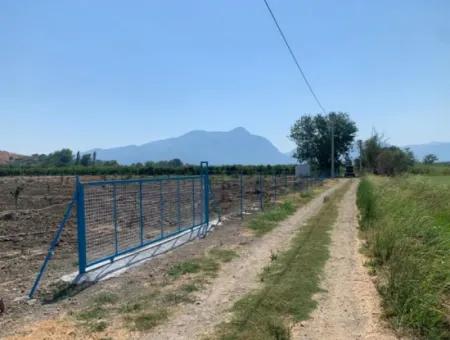 7300 M2 Zitronenfeld Zum Verkauf In Mugla Ortaca Tepearasi