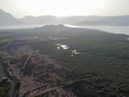 Granatapfelgarten Zum Verkauf In Mugla Ortaca Tepearasi