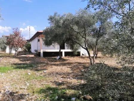 2 Einfamilienhäuser Zum Verkauf In 1992 M2 Grundstück Mit Blick Auf Den See In Köyceğiz Zeytinalanı