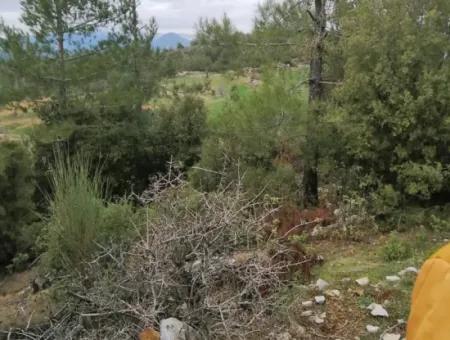 30949 M2 Fruchtbares Feld Zu Verkaufen In Mugla Dalaman Gürleyik