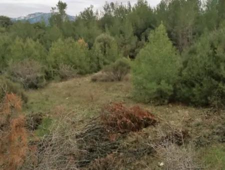 30949 M2 Fruchtbares Feld Zu Verkaufen In Mugla Dalaman Gürleyik