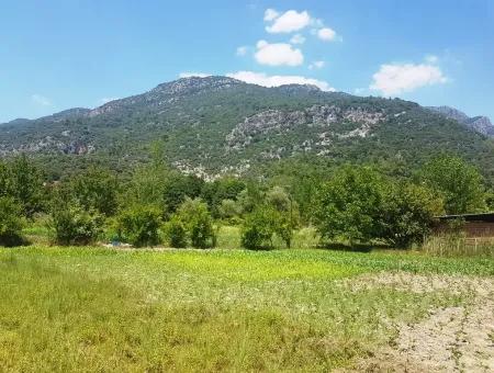 3700 M2 Land Für Verkauf In Koycegiz