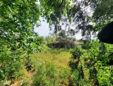 5 300 M2 Land Zum Verkauf In Ortaca Okçular Main Road Null Bebauungsplan