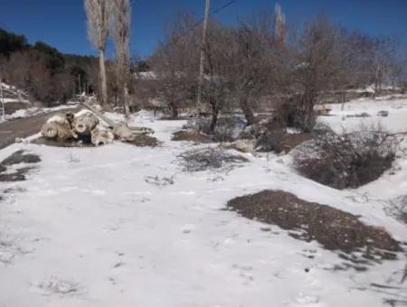 407 M2 Freistehendes Eigentumsurkunde Grundstück In Denizli Çameli Neue Lagerstätte