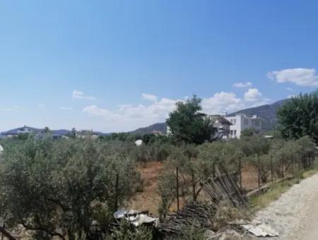 2720 M2 Feld Zum Verkauf In Fethiye Eldirek, Muğla.