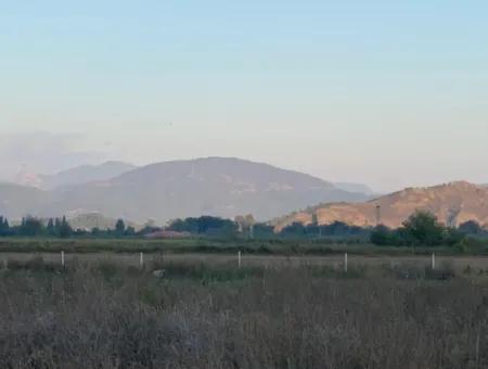 26.200 M2 Freistehendes Feld Und 3.000 M2 200 Akaoda Werkstatt In Ortaca Güzelyurt