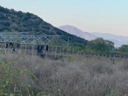 26.200 M2 Freistehendes Feld Und 3.000 M2 200 Akaoda Werkstatt In Ortaca Güzelyurt