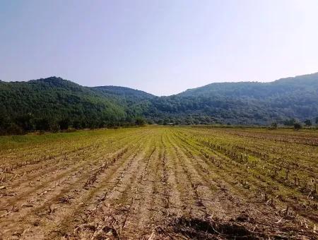 Region Des Fruchtbaren Landes Vermietung